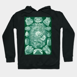 Teleostei by Ernst Haeckel Hoodie